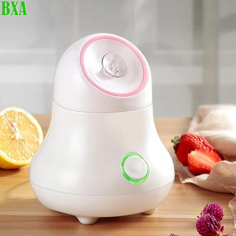 Facial Steamer Nano - Fruit and Vegetable Facial Steamer Nano