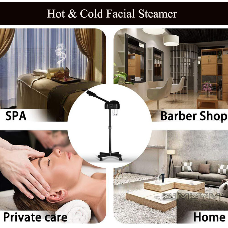 Professional Hot Cold Facial S - Facial Steamer Nano recension och pris