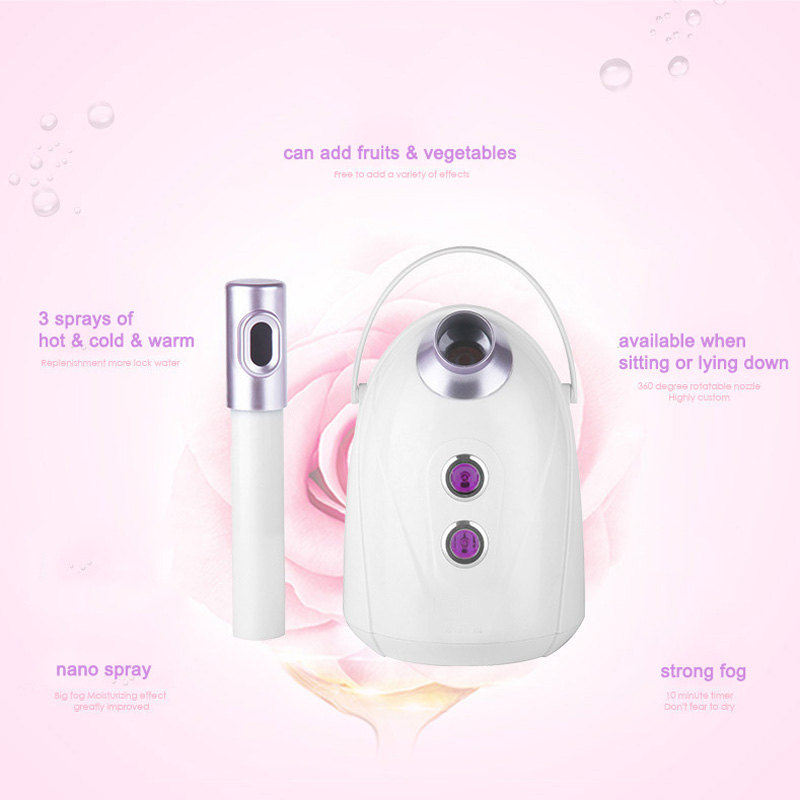 Home Salon Use Facial Steamer  - Facial Steamer Nano recension och pris