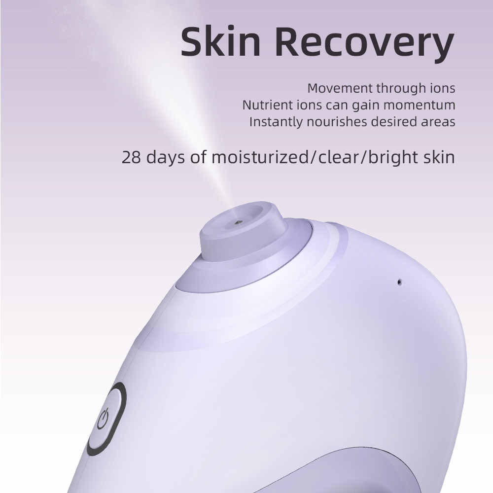 Nano Facial Sprayer Water Stea - Facial Steamer Nano recension och pris